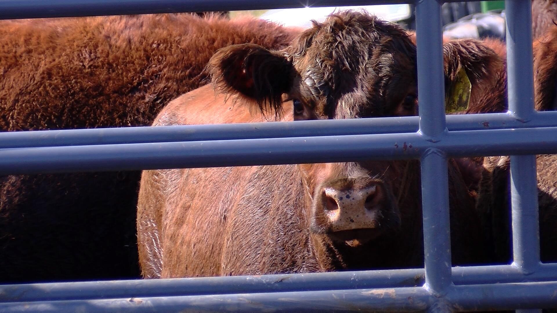 150-year-old farm is making changes